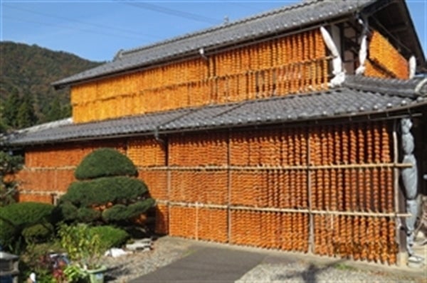 青空に映えるオレンジのカーテン!!
