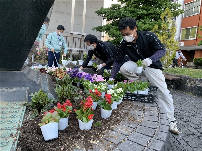 産地直送 通販 お取り寄せ お中元 鉢花 季節の寄せかご 3種 ベゴニア 季節の植物2種 ｊａぎふ 清流ぎふの恵み ｊａタウン