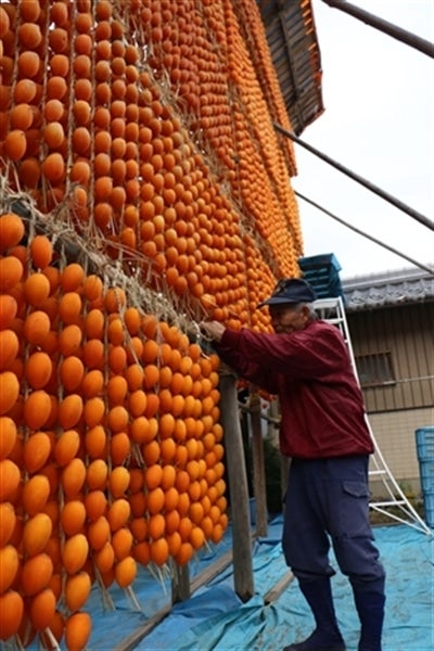 丁寧に1つ1つ吊るしていきます。