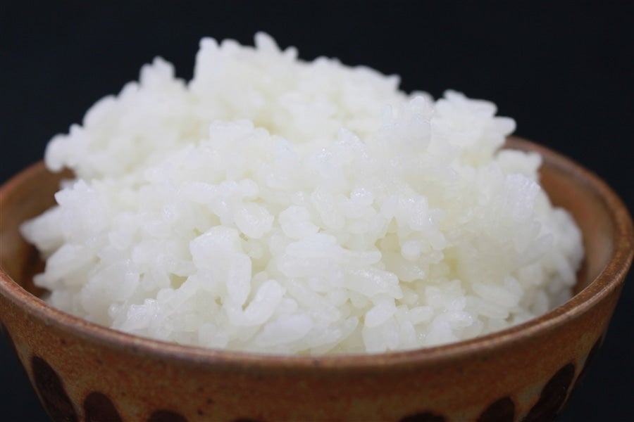 SALE／58%OFF】 ⭐️ めぐもぐφ ｃ ω ψ モグモグ様専用⭐️ハツシモ20