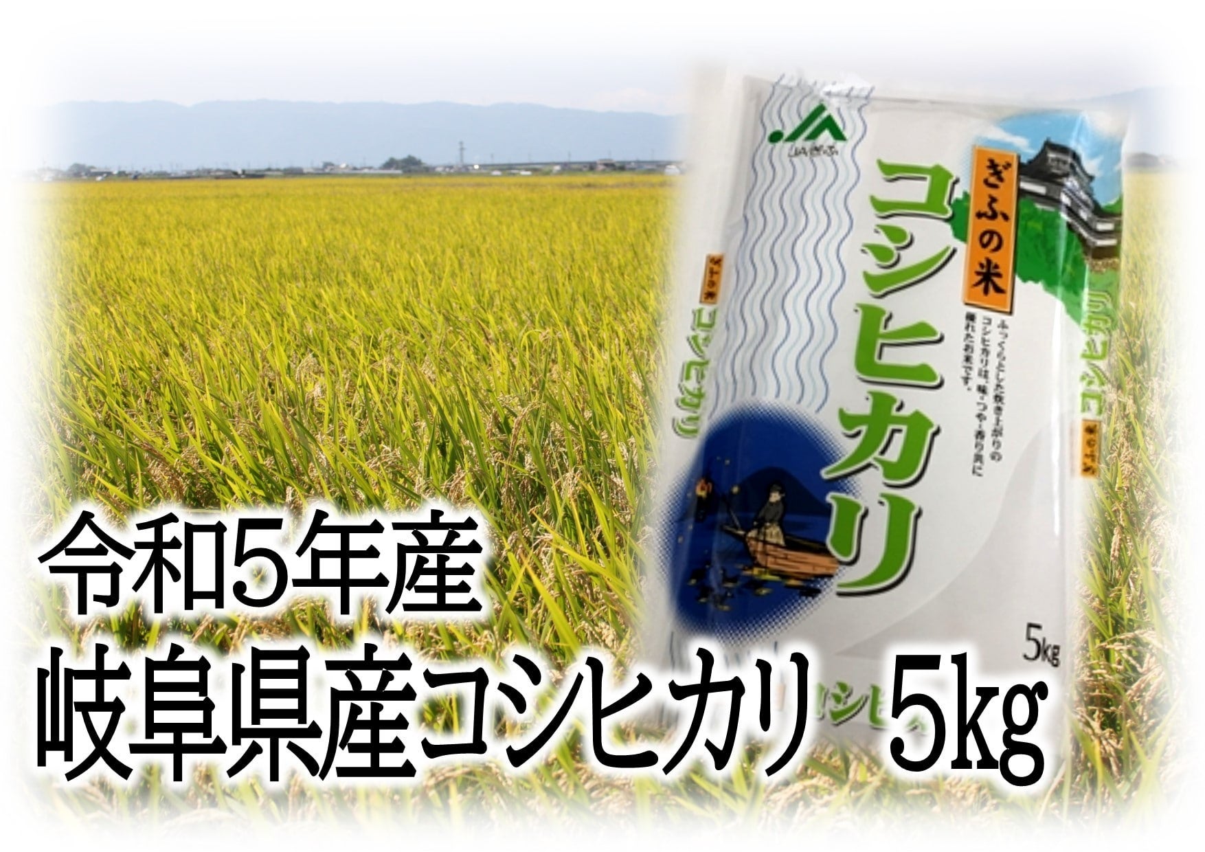 令和5年産　ＪＡぎふ　岐阜県産コシヒカリ　通販　お取り寄せ　５㎏:　清流ぎふの恵み|【ＪＡタウン】産地直送