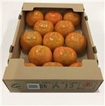 富有柿 平箱・13玉
