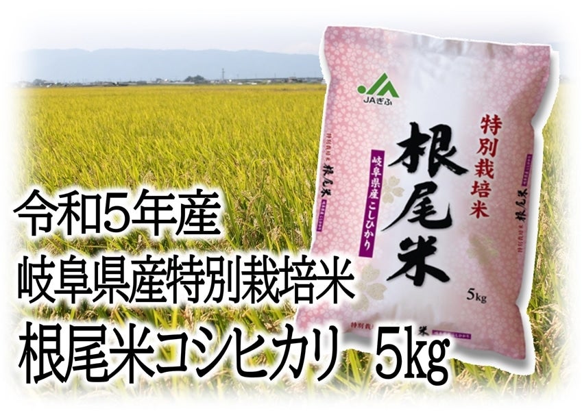 秋田県産ササニシキ30㎏-　令和5年産　新米