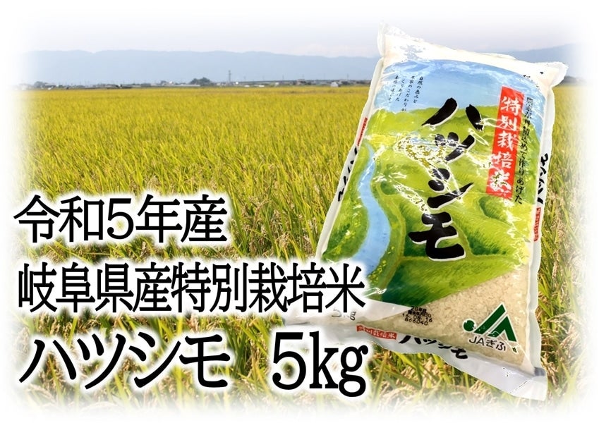 令和4年産 岐阜県産 特別栽培米ハツシモ 5㎏: ＪＡぎふ 清流ぎふの恵み