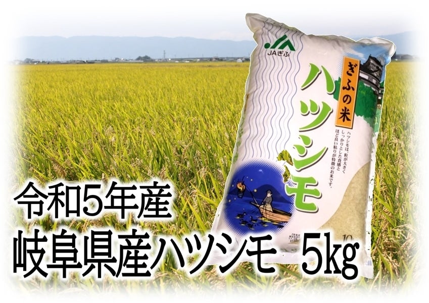 令和5年産 岐阜県産ハツシモ 5㎏: ＪＡぎふ 清流ぎふの恵み|【ＪＡ