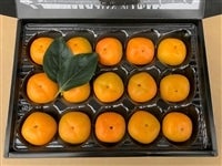【岐阜県産】ひとくちサイズのミニ柿『ベビーパーシモン』　15玉
