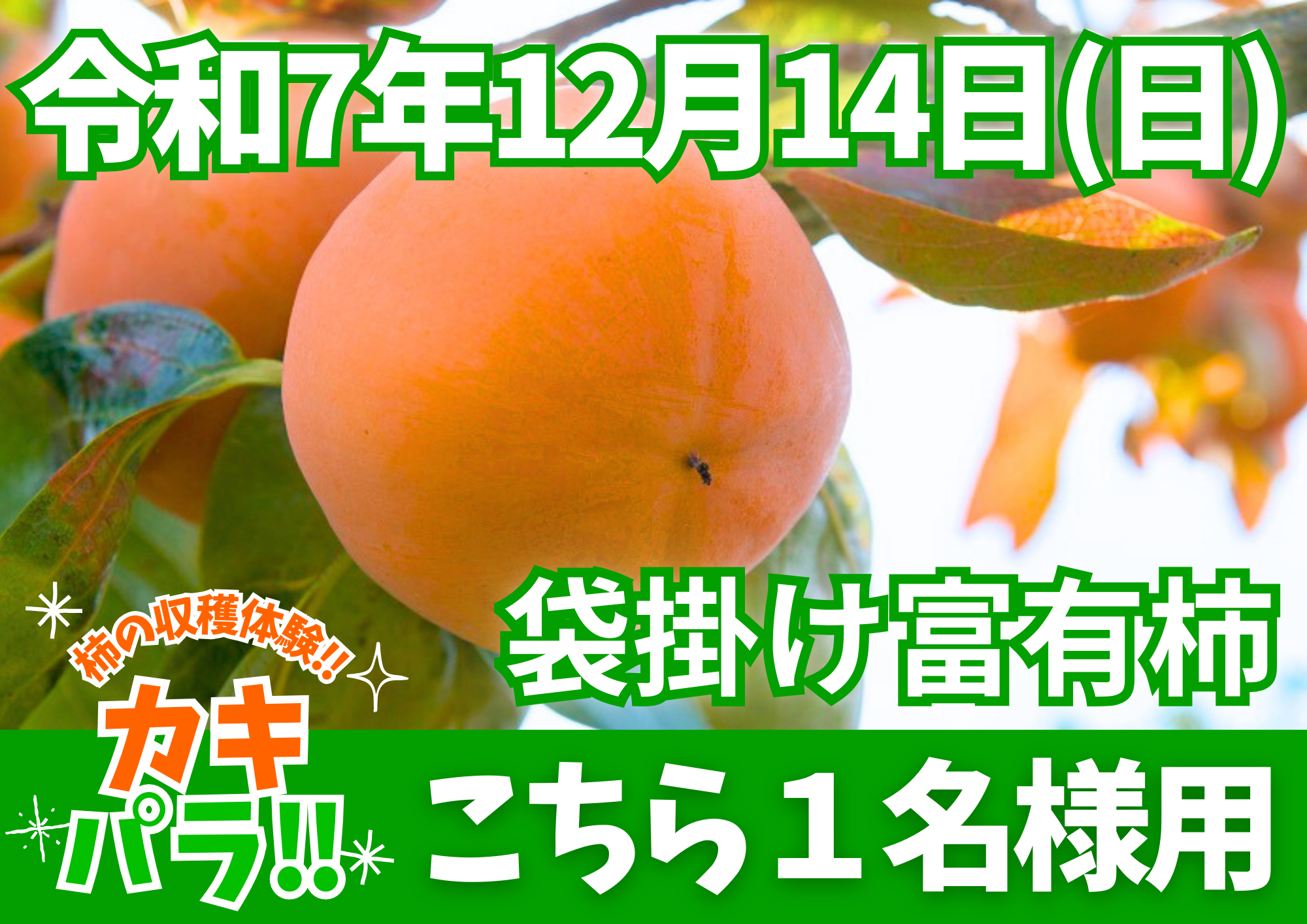 糸貫ブランド柿狩り「カキパラ!」 チケット1名参加用 12月14日(日)午前9時~午後3時のご希望のお時間に参加いただけます。