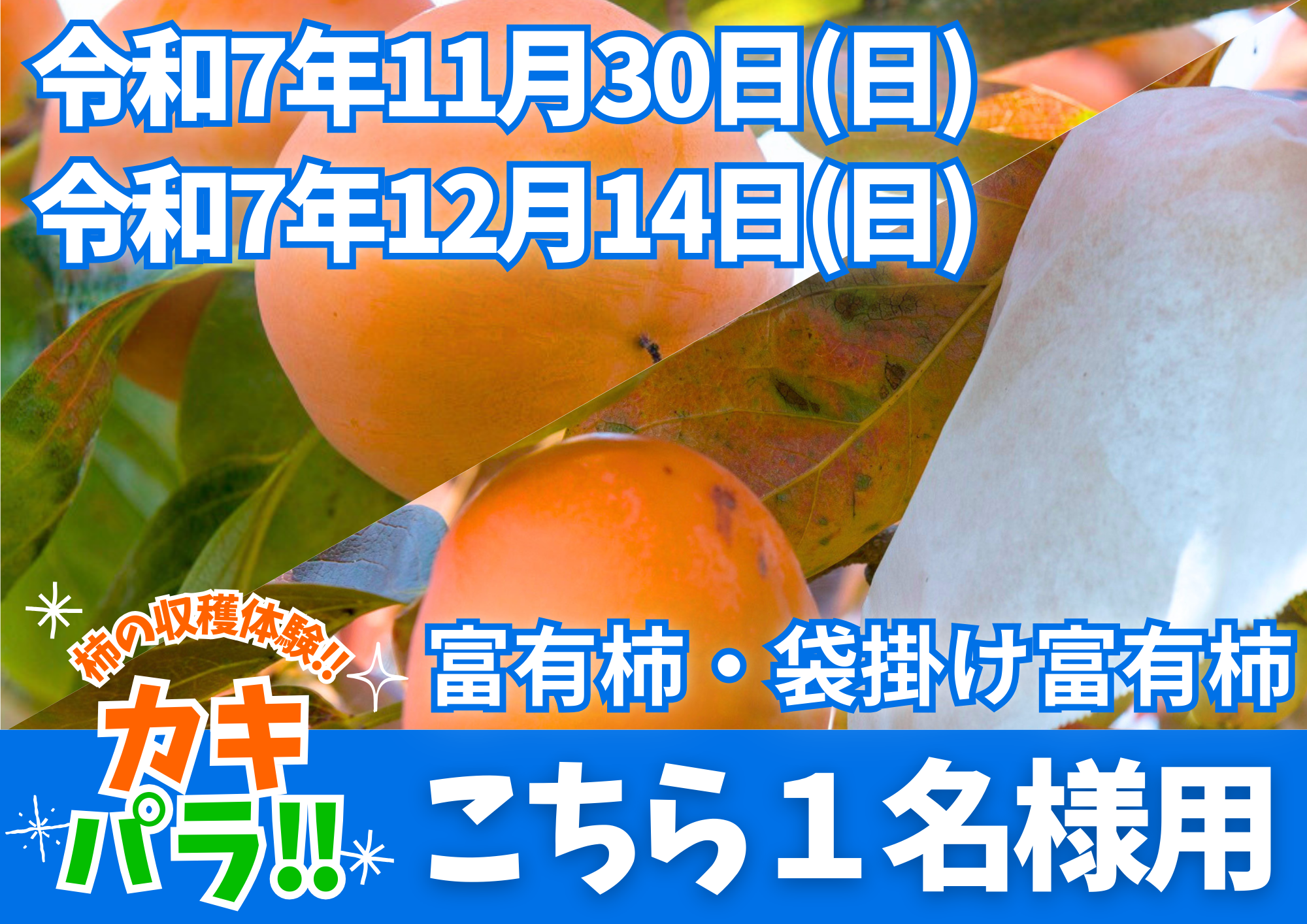 уuh`uJLpIv@@@@@@@`PbgQ1p@@@@@@@@@@@@@@@@@1130ij/1214ijߑO9`ߌ3̂]̂ԂɎQ܂B