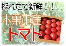 《ご家庭用》本巣市産トマト　1箱
