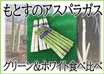 もとすのアスパラガス グリーン&ホワイト食べ比べセット 約0.8㎏
