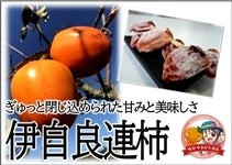 【30箱限定】伊自良連柿  Lサイズ×30個