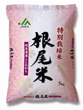 令和3年産　岐阜県産　根尾米特別栽培米ｺｼﾋｶﾘ　5�s