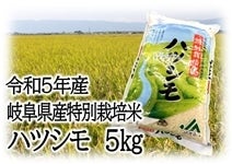 令和5年産　岐阜県産 特別栽培米ハツシモ　5�s
