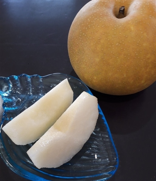 美濃加茂市山之上の梨「幸水」約3kg（5～9玉入）数量限定 7月29日～8