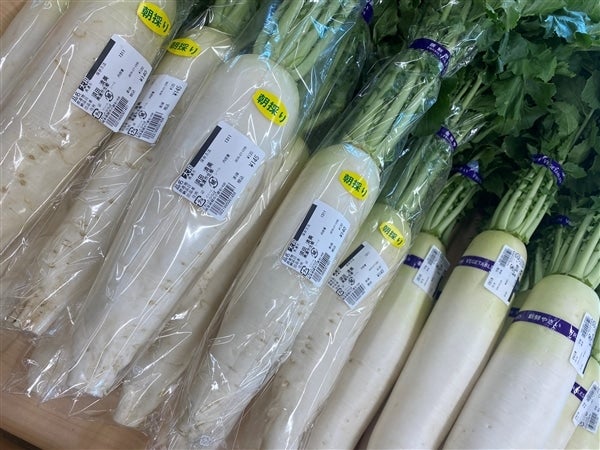 店長厳選!! 野菜ボックス 8品以上!【3月中旬〜4月発送】