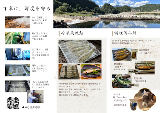 お中元】郡上鮎（小サイズ10尾） 清流長良川の鮎！ 天然 急速冷凍 生