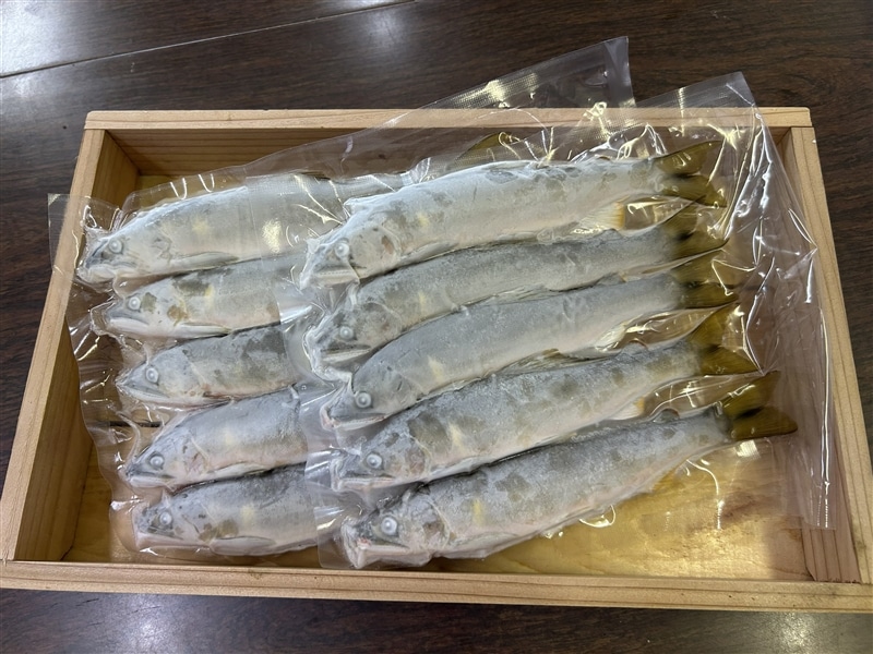 郡上鮎（小サイズ10尾） 清流長良川の鮎！ 天然 急速冷凍 生 鮎: ぎふ