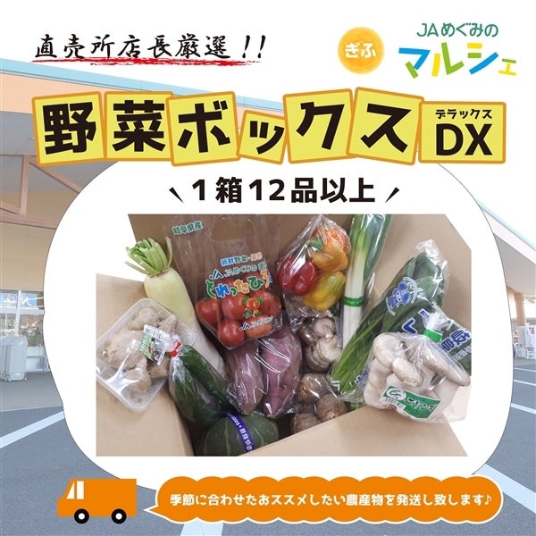 店長厳選!! 野菜ボックスDX 12品以上!【3月中旬〜4月発送】