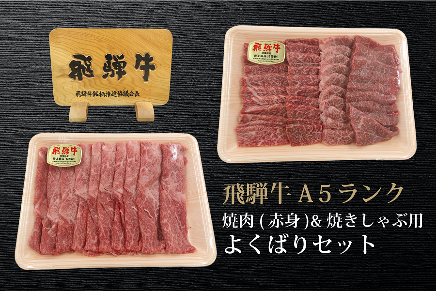 【父の日】飛騨牛A5ランク 焼肉&焼きしゃぶ用 よくばりセット(各500g)合計1s