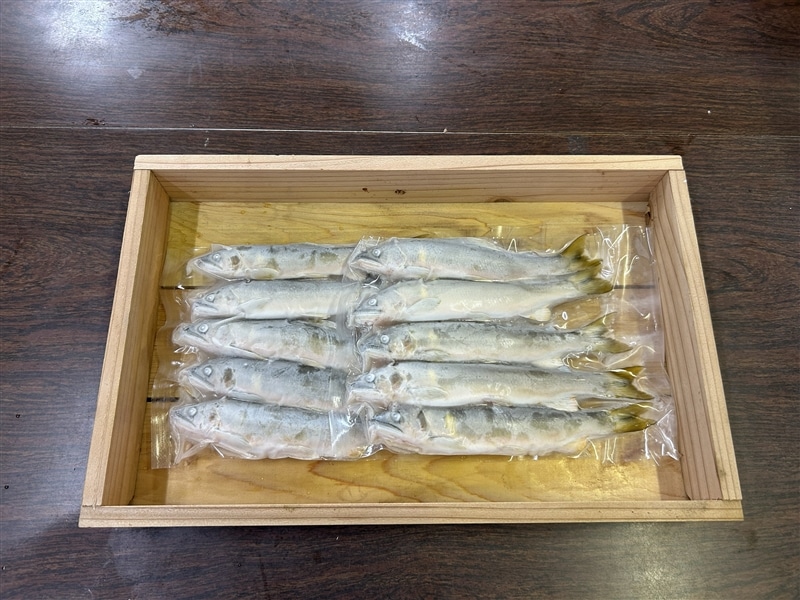 お中元】郡上鮎（極小サイズ10尾） 清流長良川の鮎！ 天然 急速冷凍 生