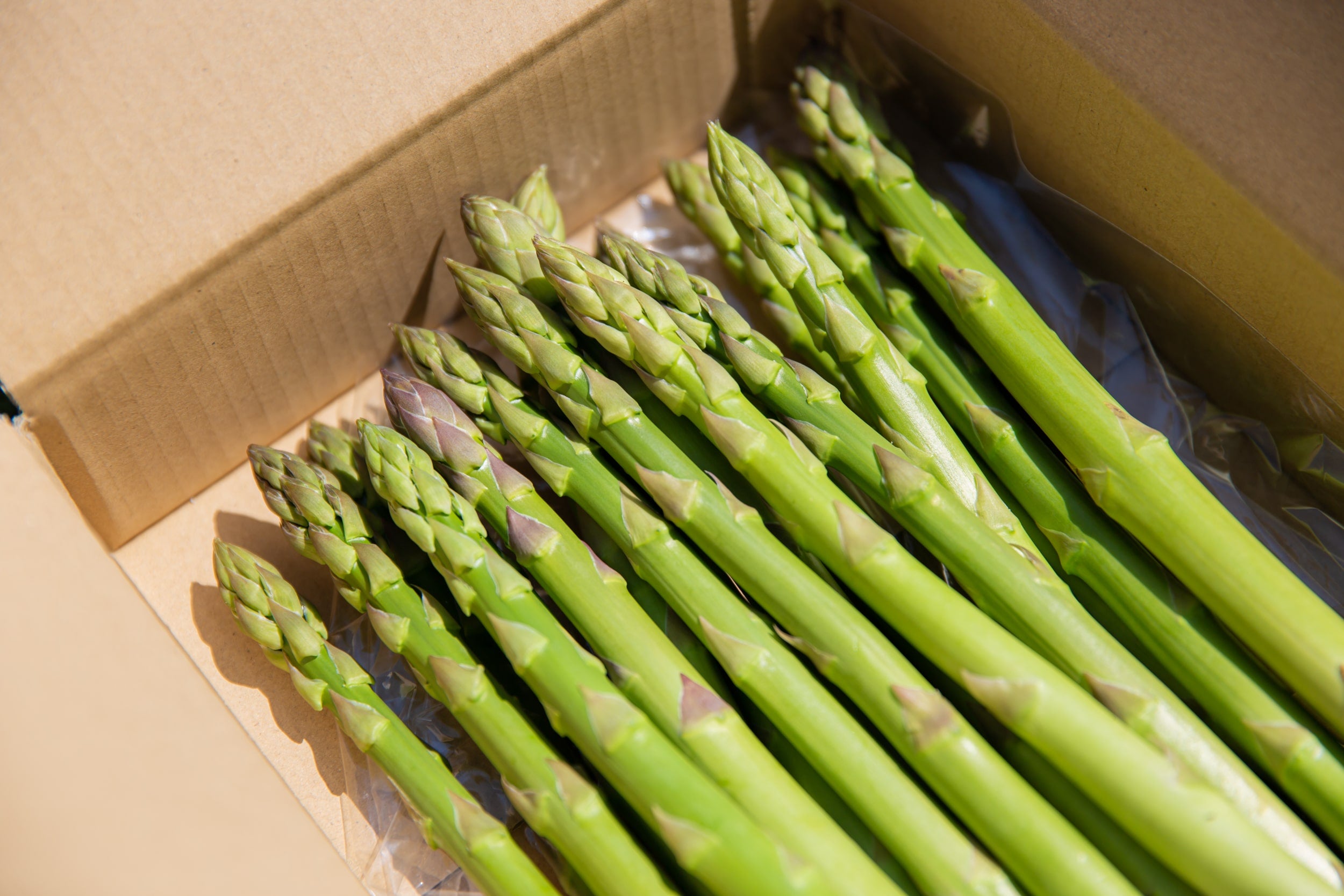 �_�˃t�@�[���I�t�̃A�X�p���K�X �򕌌��Y ��800g�@���Ԍ���