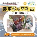 【定期購入】 店長厳選!!　野菜ボックスDX 12品以上！
