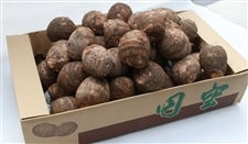 ��������~�󂳂Ƃ����@���k�T�C�Y�@��Tkg�y�Q�������E���ʌ���z