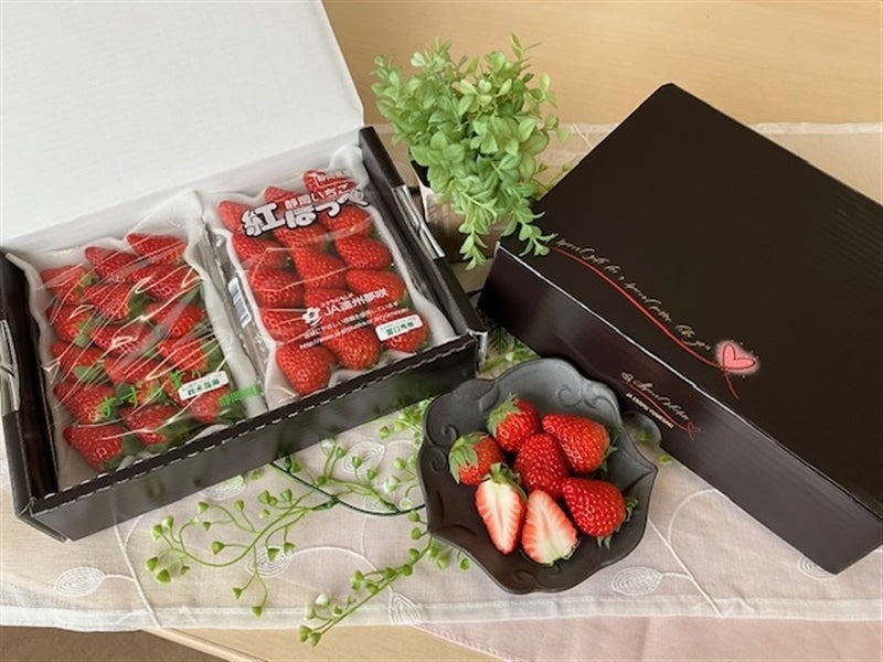 夢咲フルーツ堪能セット（イチゴ＆みかん） JA遠州夢咲 ≪次回発送