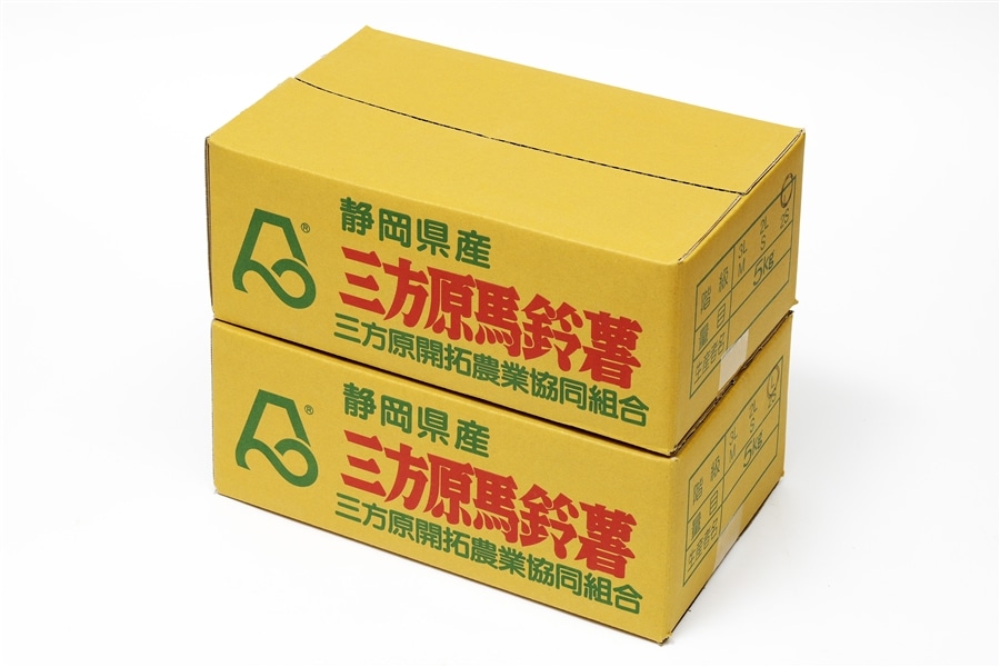 三方原馬鈴薯（男爵）10kg（5kg×2） Lサイズ JA三方原開拓