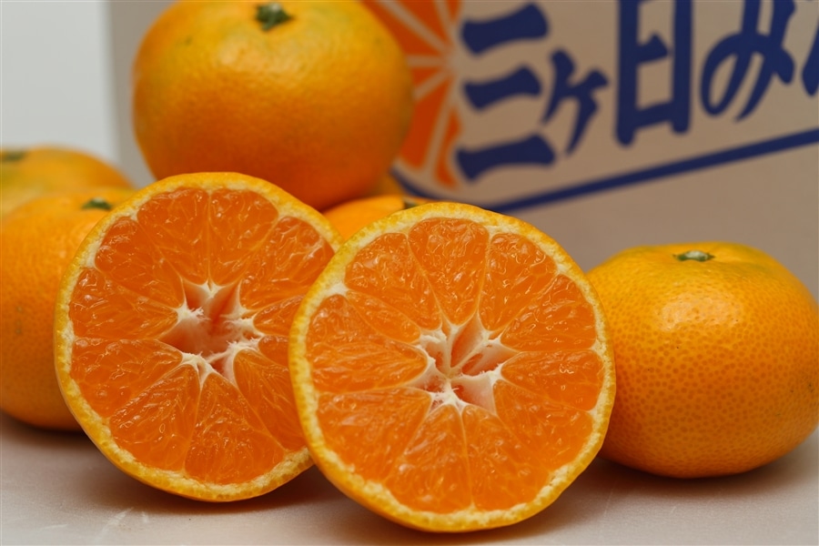 ☆みかん☆ 北原早生みかん（優品）L 4kg JAみっかび: しずおか『手しお屋