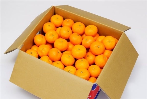 産地直送 通販 お取り寄せ丸浜みかん 早生 秀品 ｍサイズ １０kg しずおか 手しお屋 ｊａタウン