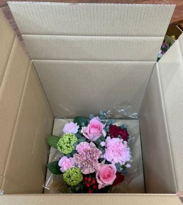 産地直送 通販 お取り寄せ母の日遅れてごめんねフラワーアレンジメント しずおか 手しお屋 jaタウン 産地直送 通販 お取り寄せ母の日遅れてごめんねフラワーアレンジメント しずおか 手しお屋 jaタウン
