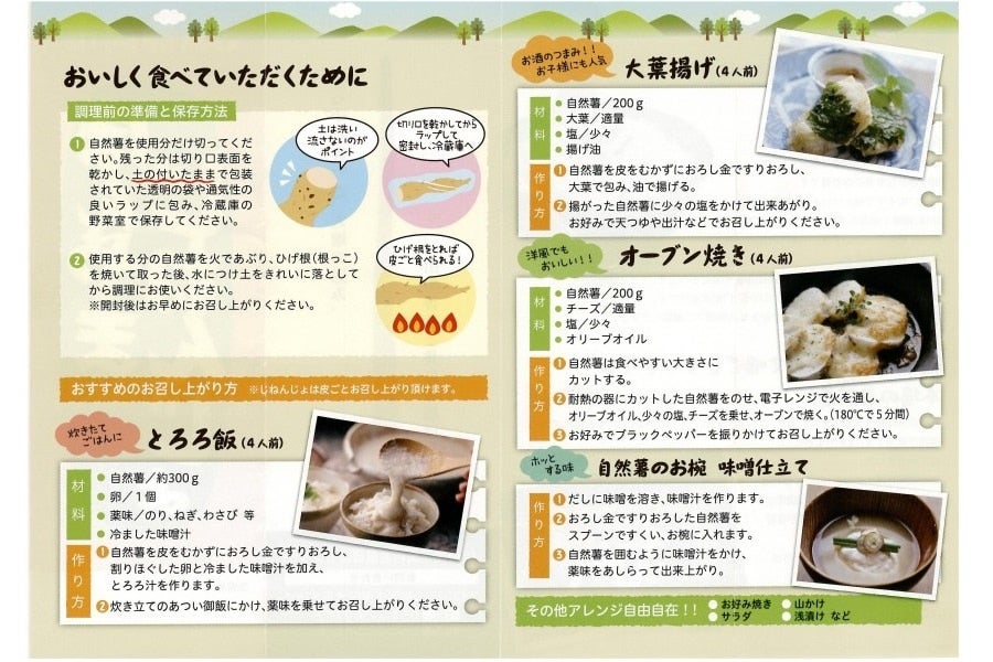 産地直送 通販 お取り寄せ静岡県産 じねんじょ「本山自然薯」JA静岡市 M1本: しずおか『手しお屋』|ＪＡタウン