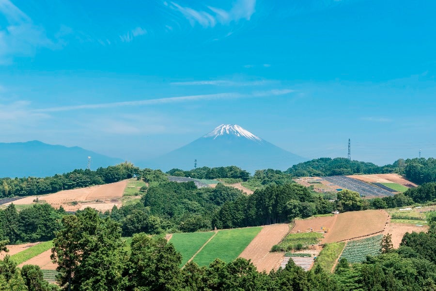 三島ばれいしょの産地は標高が高く、天気が良い日は富士山がきれいに見えます