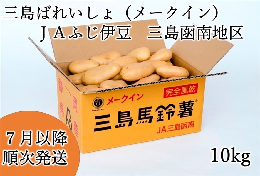 メークイン　ばれいしょ　じゃがいも　10kg　野菜　野菜