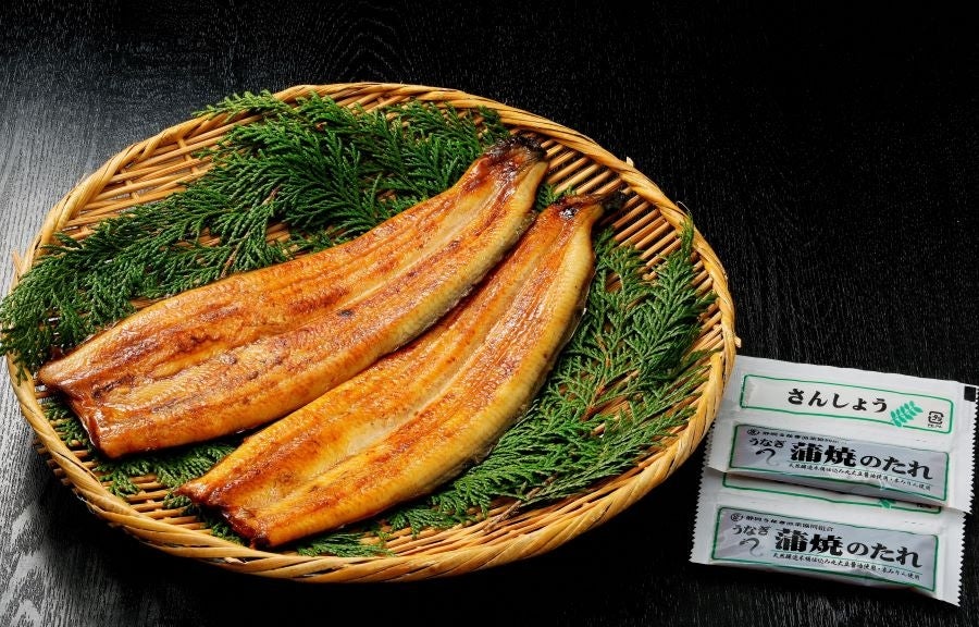 産地直送 通販 お取り寄せ静岡産 うなぎ蒲焼 １３０ｇ ２ しずおか 手しお屋 ｊａタウン