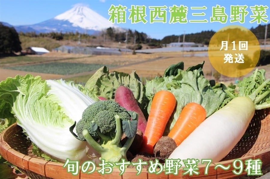 三島野菜