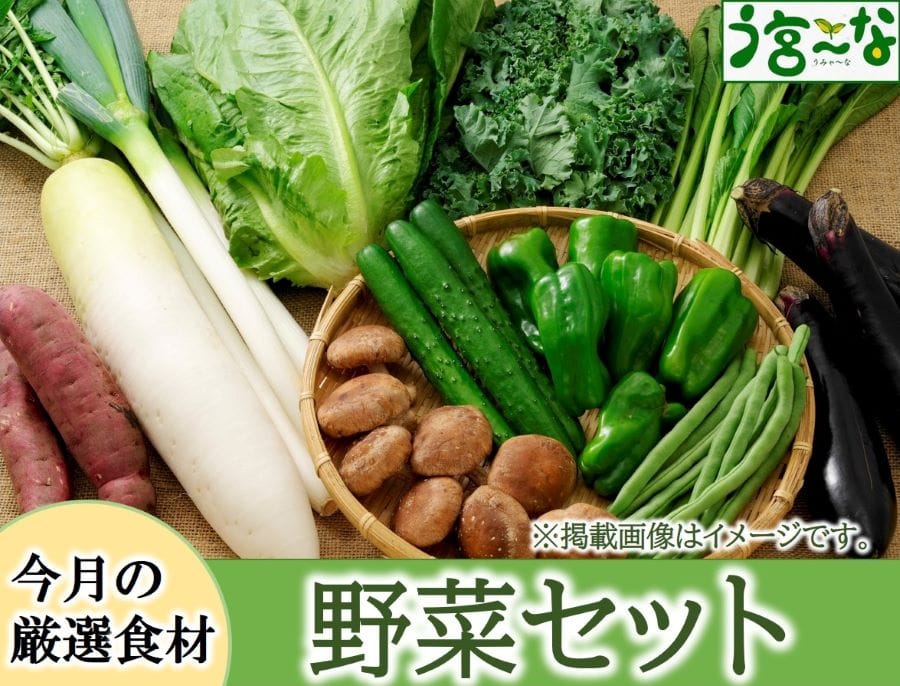 う宮～な」厳選食材セット「野菜」　ＪＡふじ伊豆:　お取り寄せ　しずおか『手しお屋』|【ＪＡタウン】産地直送　通販