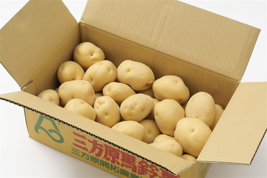 三方原馬鈴薯（男爵）10kg（5kg×2） Lサイズ JA三方原開拓