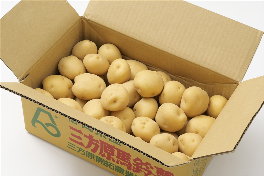 三方原馬鈴薯（男爵）10kg（5kg×2） Mサイズ JA三方原開拓