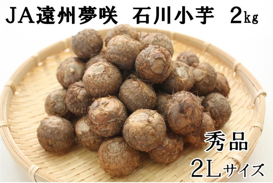 極上！料亭の味♪「石川小芋」２kg・２Ｌ ＪＡ遠州夢咲（里芋）: しずおか『手しお屋』|【ＪＡタウン】産地直送 通販 お取り寄せ