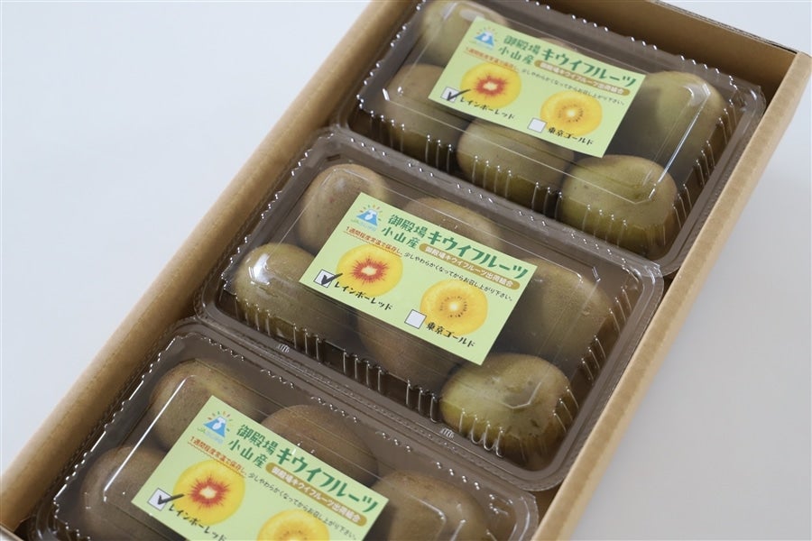 御殿場市・小山町産キウイフルーツ「レインボーレッド」6玉入り×3