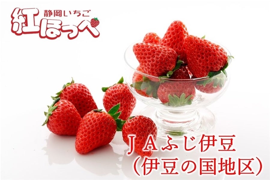 業務規格20P】静岡いちご「伊豆紅ほっぺ」（4P×5箱） JA