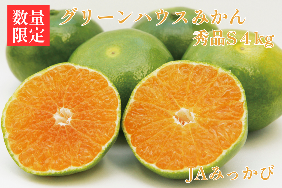 三ヶ日グリーンハウスみかん（秀品S）4kg JAみっかび: しずおか『手