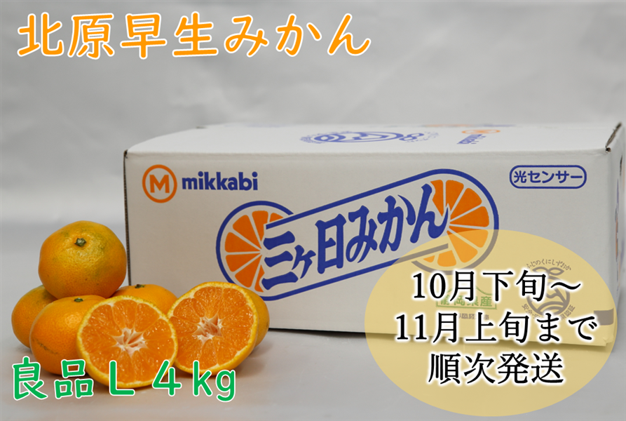 北原早生みかん（良品）L 4kg JAみっかび: しずおか『手しお屋