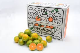 ゆらみかん 5kg箱 JA静岡市: しずおか『手しお屋』|【JAタウン