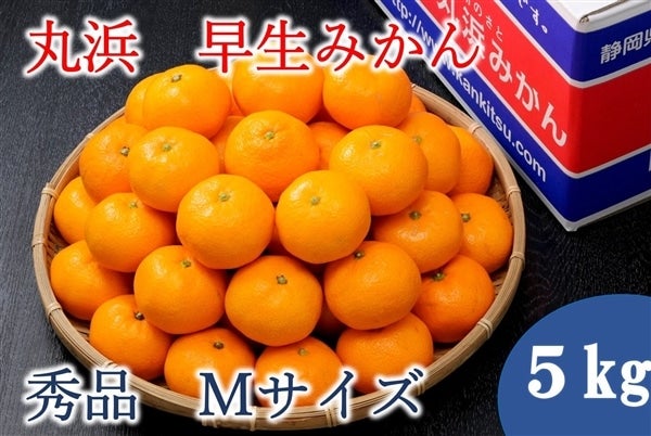 産地直送 通販 お取り寄せ丸浜みかん 早生（秀品 Ｍサイズ ５kg）: しずおか『手しお屋』|ＪＡタウン