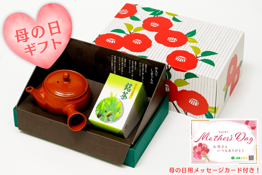 母の日】お茶と急須セット JA掛川市: しずおか『手しお屋』|【JA