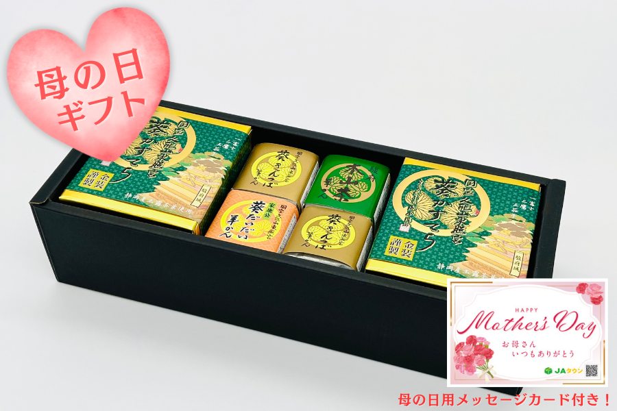 母の日】国宝久能山東照宮セット（カステラ・羊かんセット）: しずおか