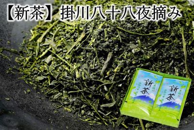 静岡の新茶】掛川八十八夜摘み新茶: しずおか『手しお屋』|【JA